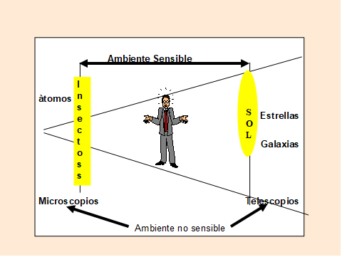 El ambiente no sensible